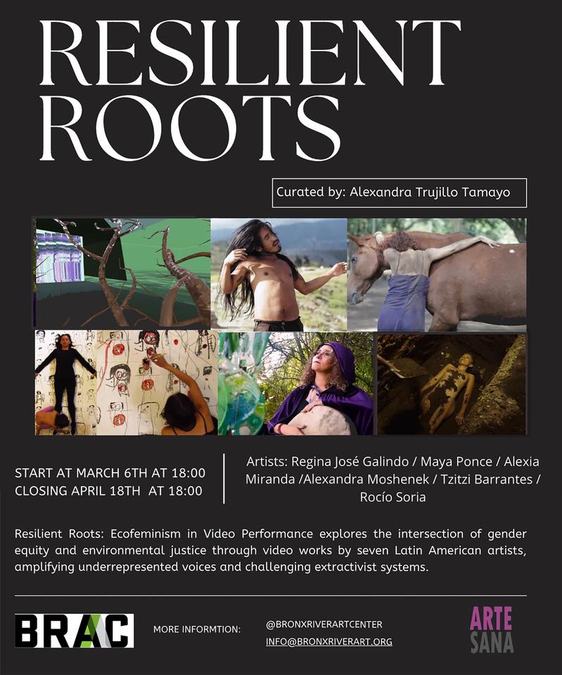 Resilient Roots: Ecofeminism in Video Performance. Exhibition opening reception